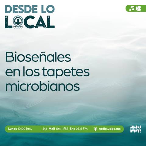 desde lo local
