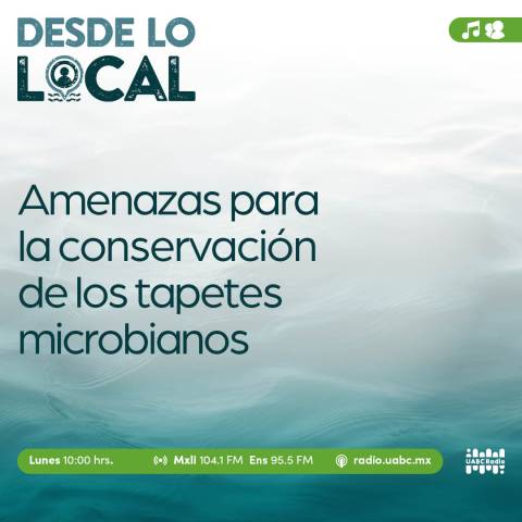 desde lo local
