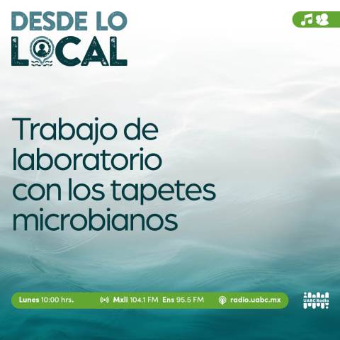 desde lo local