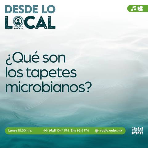 desde lo local